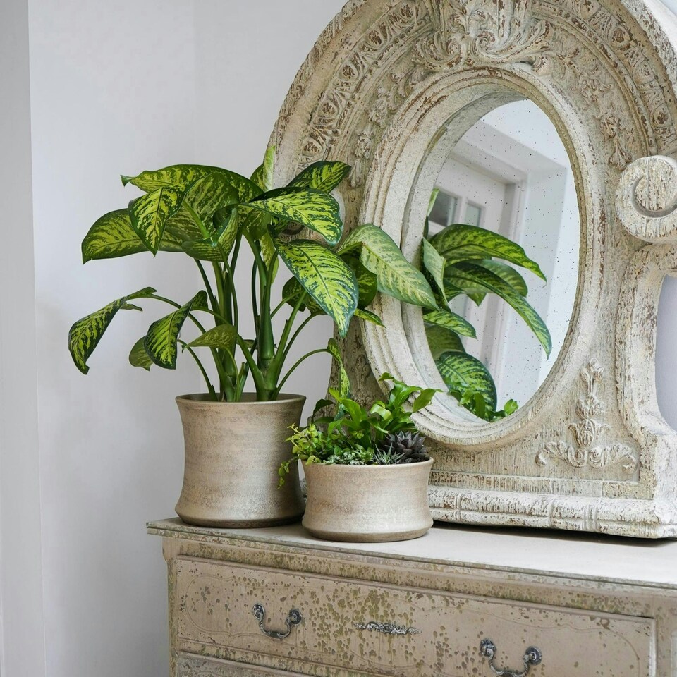 image 1 of Luxe Planter White Gold Gold