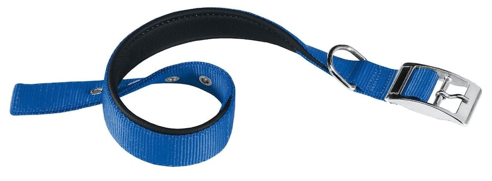 Ferplast Daytona C25/53 Collar Blue