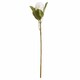 image 1 of Closed Protea Artificial Flower (Single Stem) - L12 x W8 x H67 cm - White