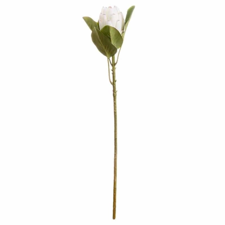 image 1 of Closed Protea Artificial Flower (Single Stem) - L12 x W8 x H67 cm - White
