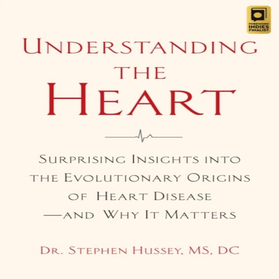 Understanding The Heart