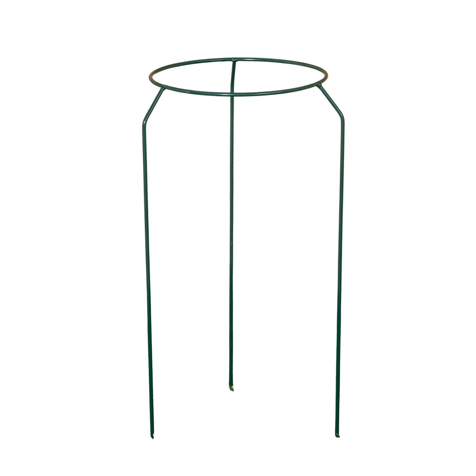image 1 of Tom Chambers Green Metal Herbaceous Garden Plant Support Ring Small