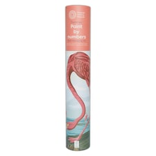 Natural History Museum Paint By Numbers Flamingo Hanging Kit