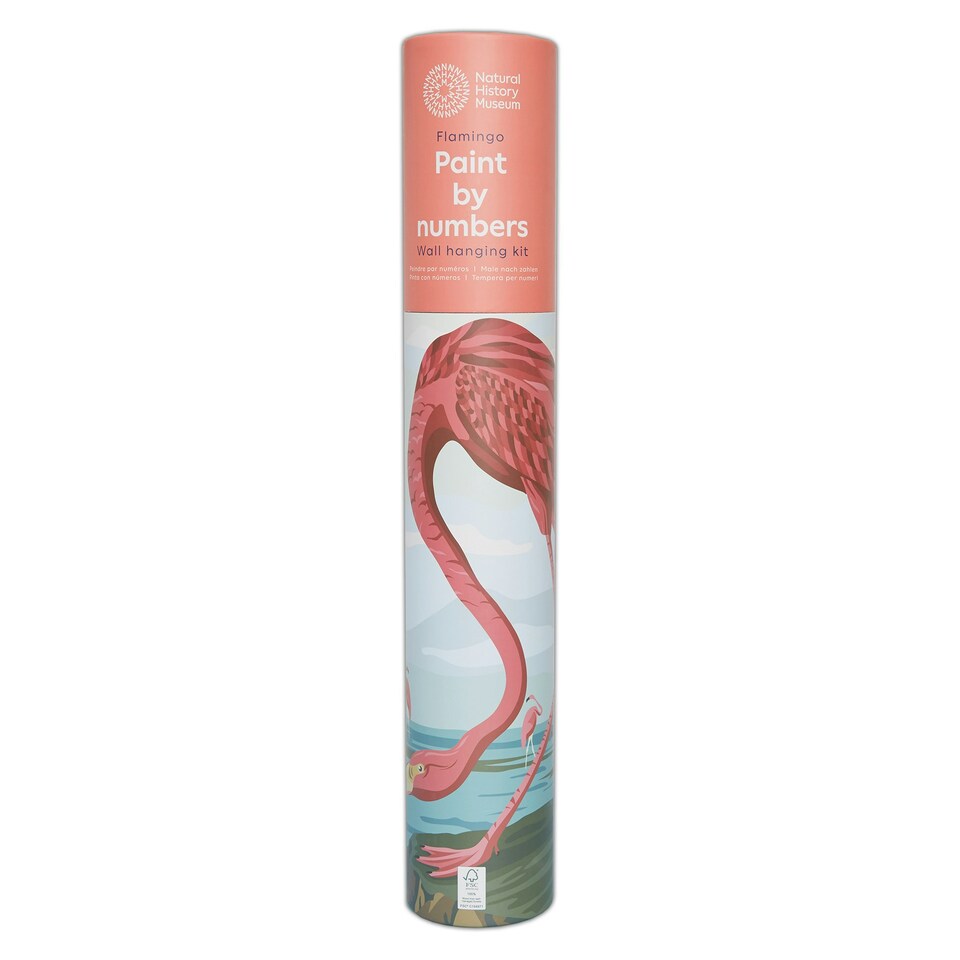 image 1 of Natural History Museum Paint By Numbers Flamingo Hanging Kit