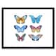 image 1 of Colourful Butterflies Insect Study Watercolour 9x7" Black Framed Wall Art Print