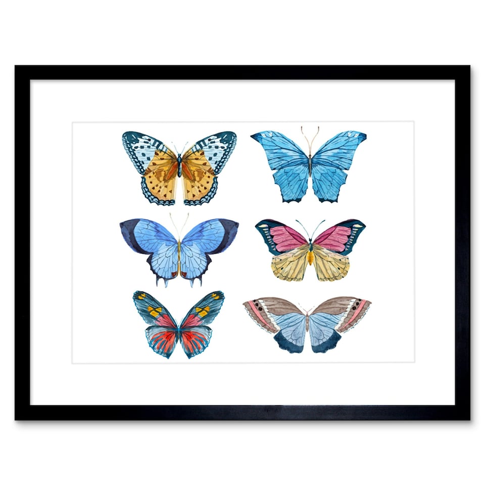 Artery8 Colourful Butterflies Insect Study Watercolour 9x7" Black