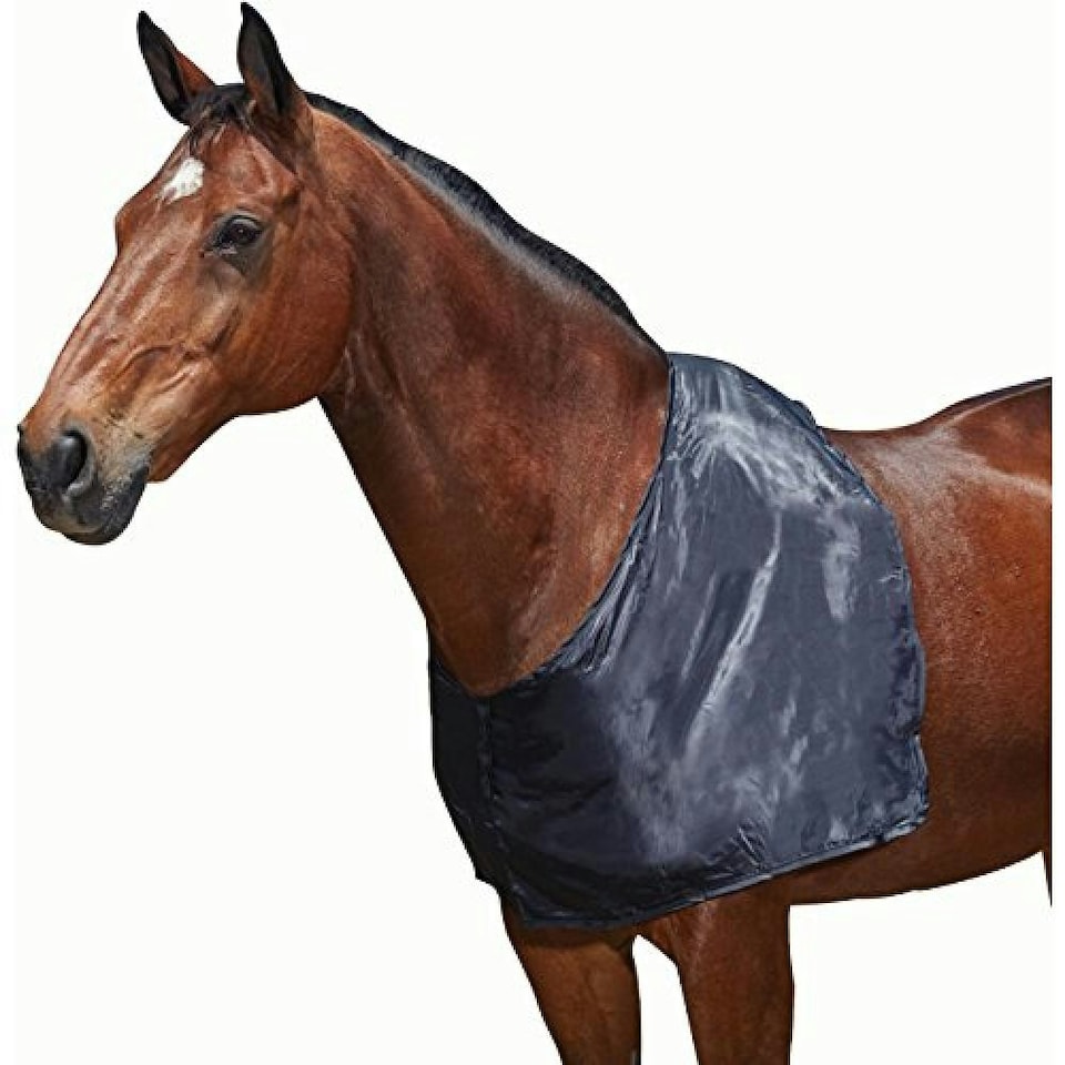 image 1 of Weatherbeeta Satin Shoulder Guard - Black - Cob