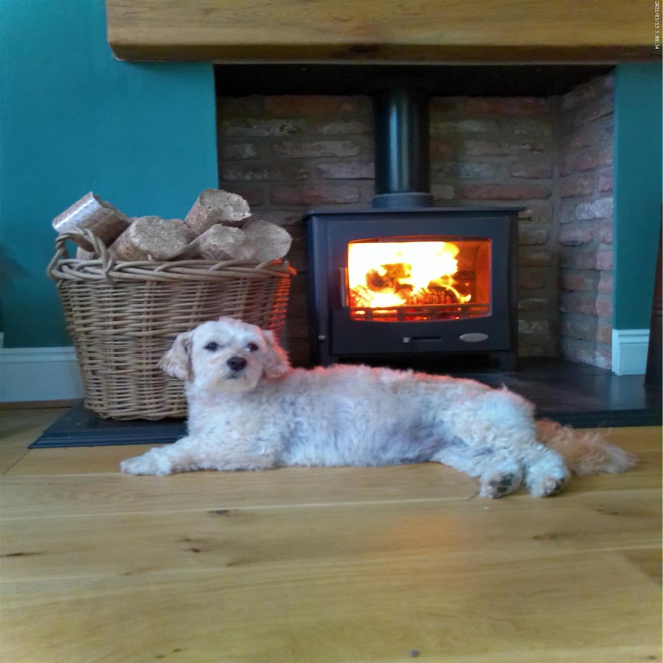 image 1 of Dihl 1KG Premium Natural Fuel Wood Pellets, 6mm, 100% Softwood, Low Ash, Clean Burning, High Heat Output. For BBQ Oven, Woodfire Grills, Smokers & Pizza Ovens – 1 KG Bag