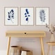 image 2 of Set of 3 Flower Plant Leaf Blue Watercolour Botanical Home Decor Wall Art Print A4