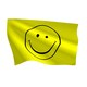 image 5 of Smile Flag - 5x3ft with Eyelets Multi
