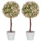 image 1 of HOMCOM Set of 2 Decorative Artificial Plants, Murraya Flowers in Pot, Fake Plants for Home Indoor outdoor Decor, 60cm, Cream White