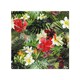 image 1 of Tropical Foliage Splash Back | White