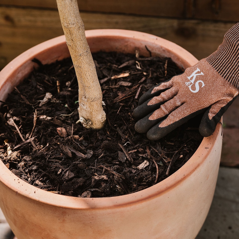 image 1 of Westland Decorative Mini Bark For Borders 70L | Brown | Brown | 70L | 1