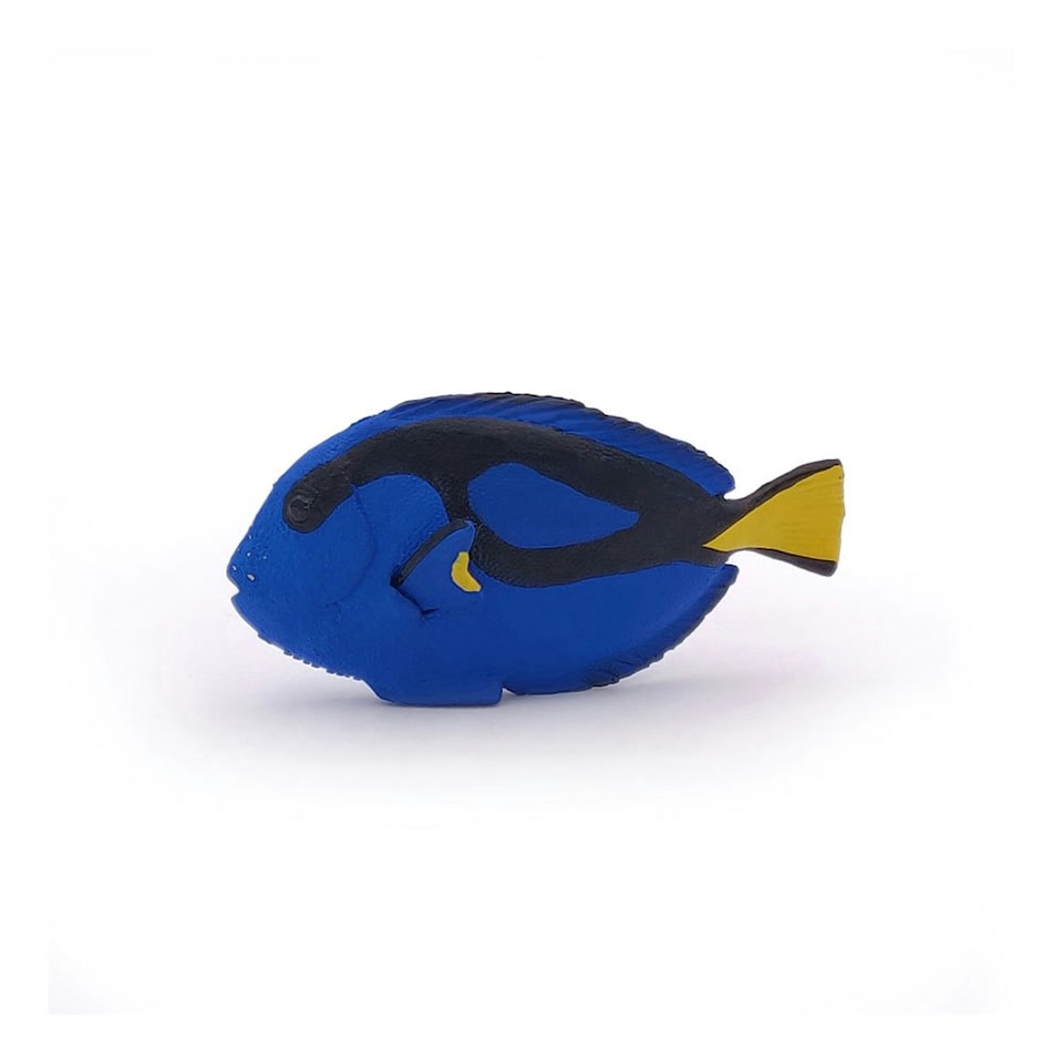 image 1 of PAPO Marine Life Surgeonfish Toy Figure