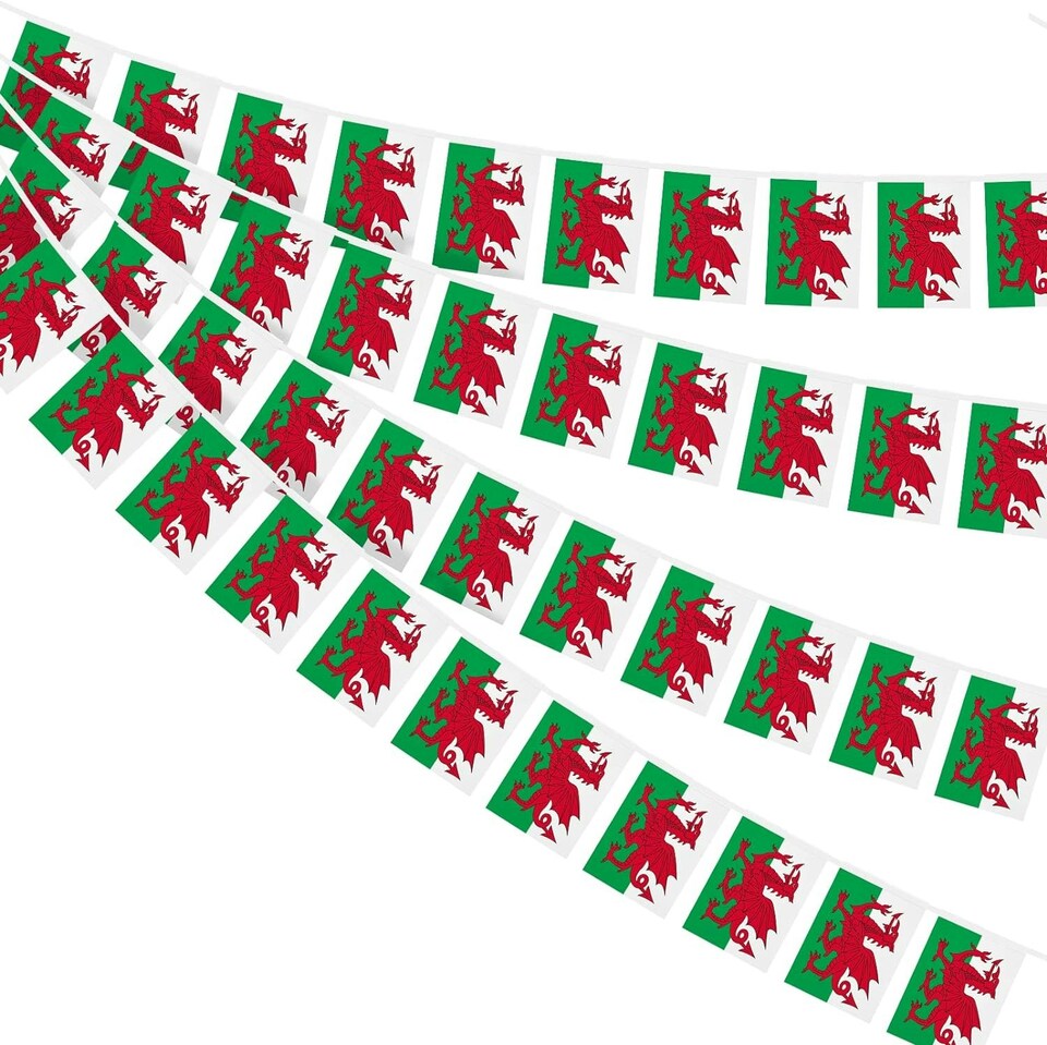 image 1 of Wales Flag Party Bunting 10m with 20 Flags