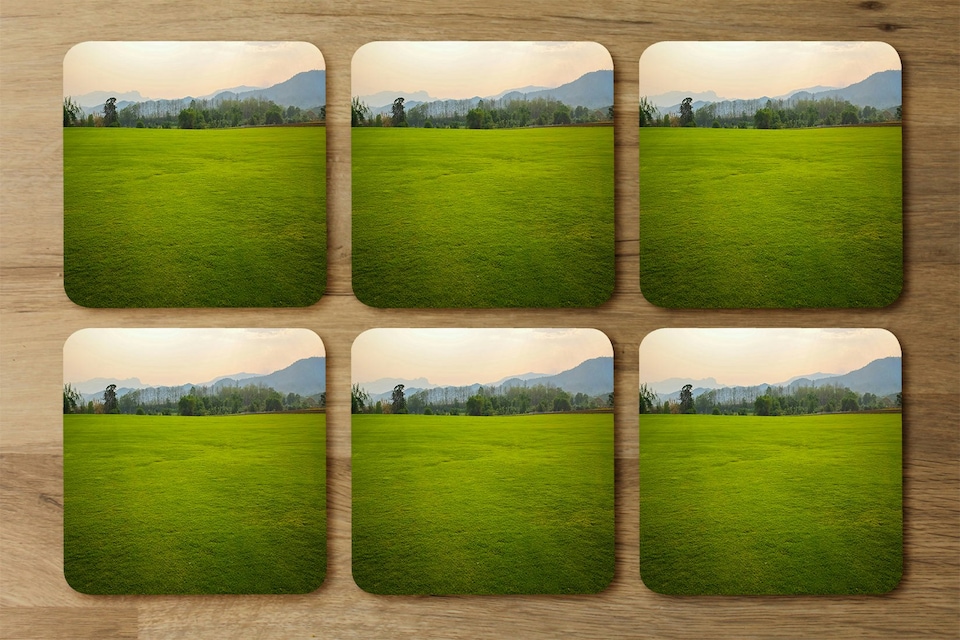 image 1 of Background image of lush grass field (Coaster)