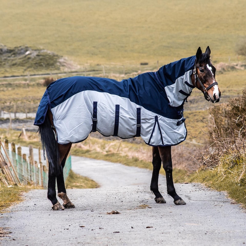 image 1 of eQuitack 600D 2 in 1 Waterproof Fly Turnout Mesh Horse Rug Fixed Neck Navy/Silver 6'0''