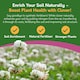 image 2 of Pronto Seed Clover Seed for Lawn UK - White Clover 500g - 50m2 Coverage