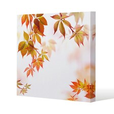 Autumn Leaves (Canvas Print) 114 x 114 x 4cm
