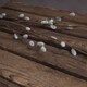 image 3 of Willow Branch Artificial Plant - Plastic - L25 x W25 x H103 cm - Brown/Green
