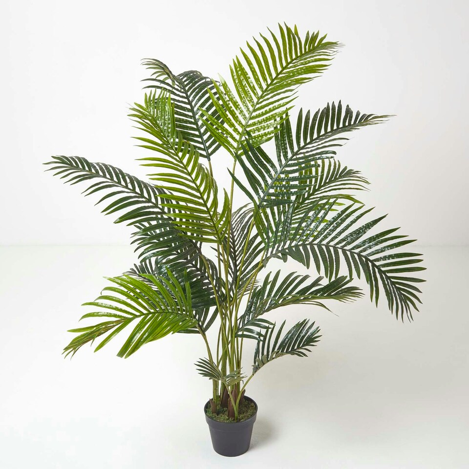 image 1 of Homescapes Areca Palm Tree in Pot, 160 cm Tall