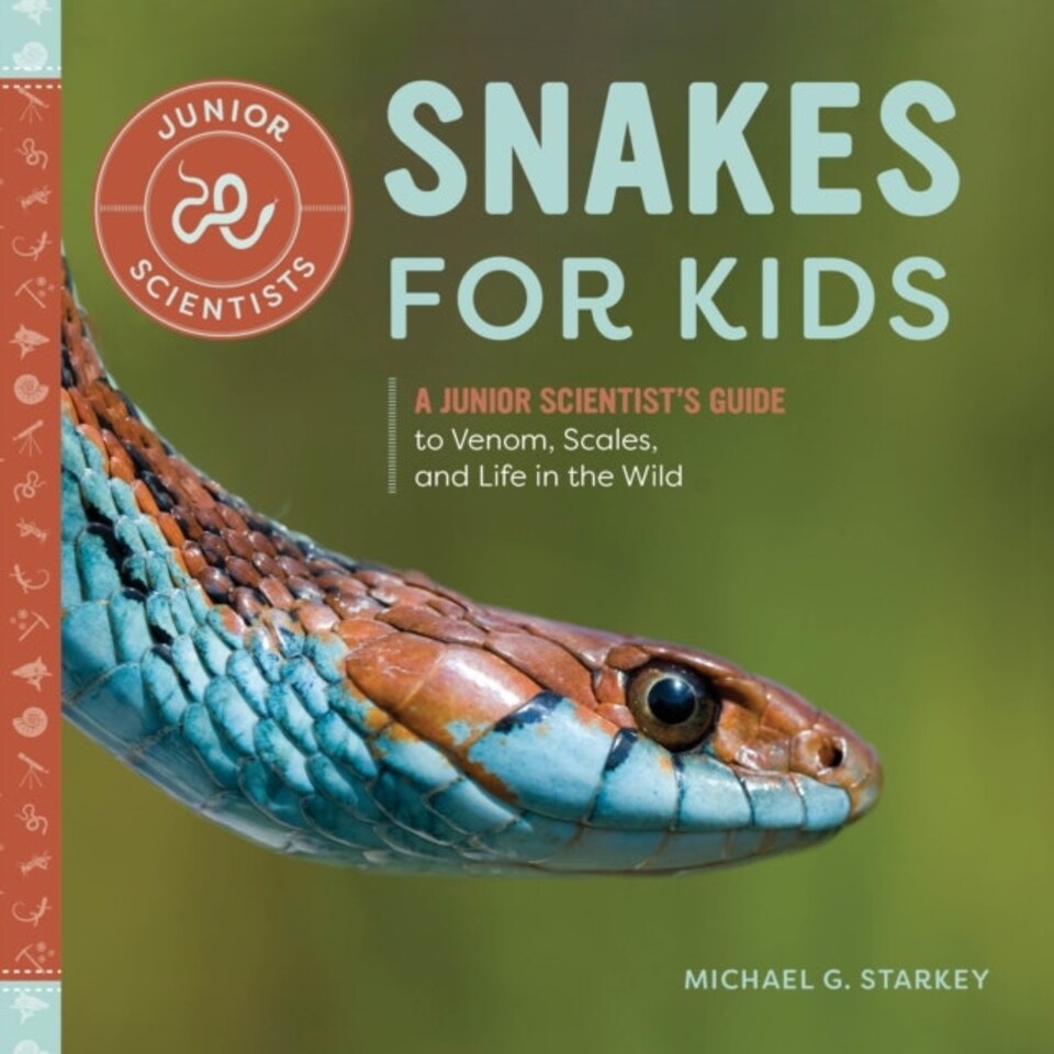 Snakes For Kids
