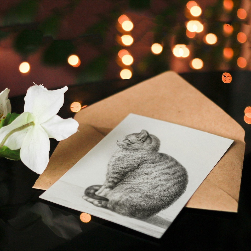 image 1 of Jean Bernard Art Card Sitting Smiling Cat Pencil Drawing