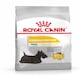 image 1 of ROYAL CANIN® Mini Dermacomfort Adult Dry Dog Food N/A | Size: 3kg