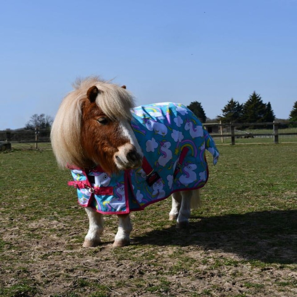 image 1 of Rhinegold Unicorn Torrent Outdoor Rug