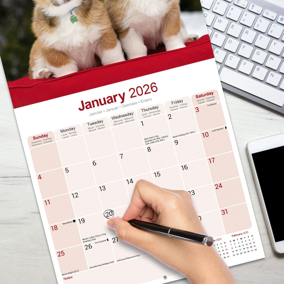 image 1 of Corgi 2026 Calendar | Square Wall Calendar | Dog Breed Gift | Plastic Free Packaging | by Avonside Publishing
