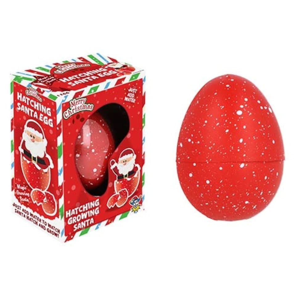 Grow Your Own Santa Christmas Egg Toy