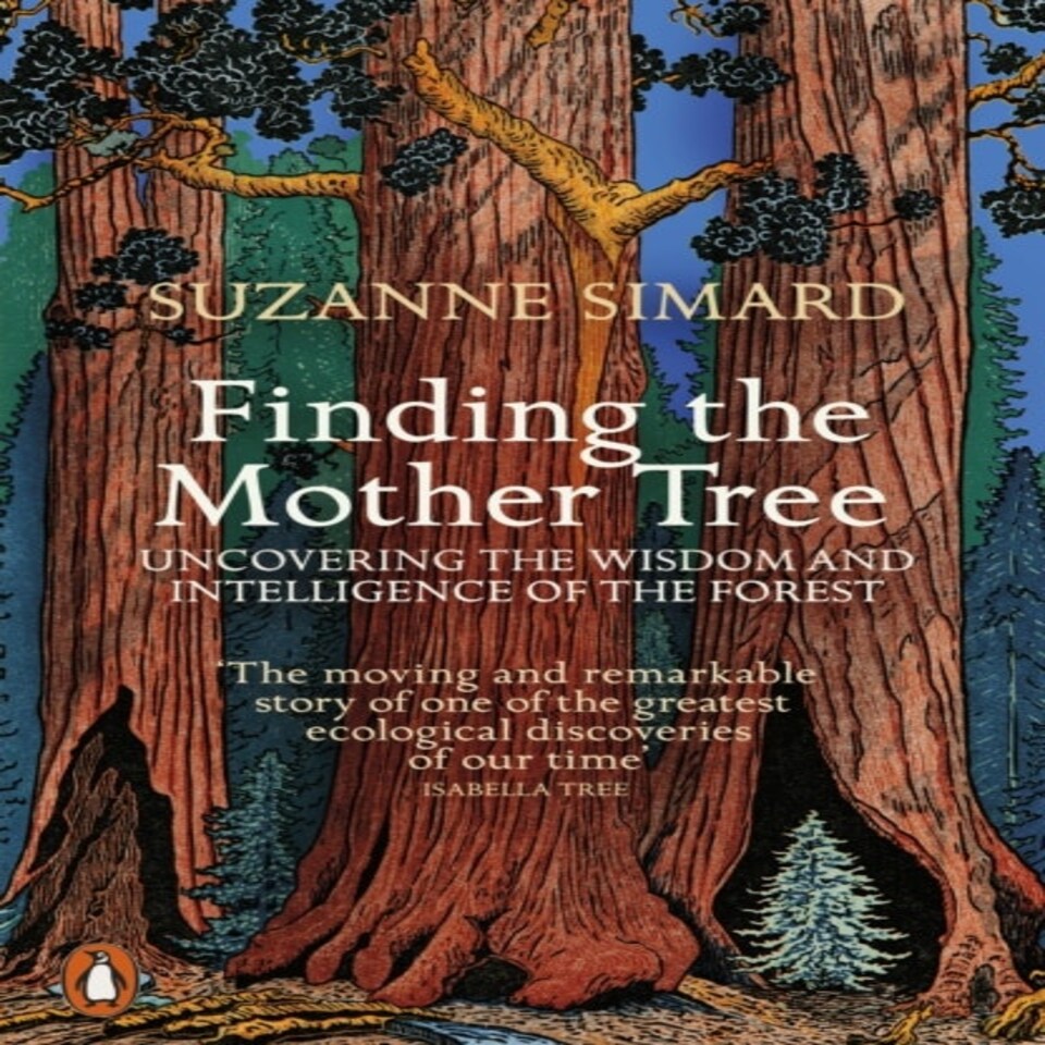 Finding The Mother Tree