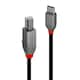 image 3 of 1m USB 2.0 Type C to B Cable, Anthra Line