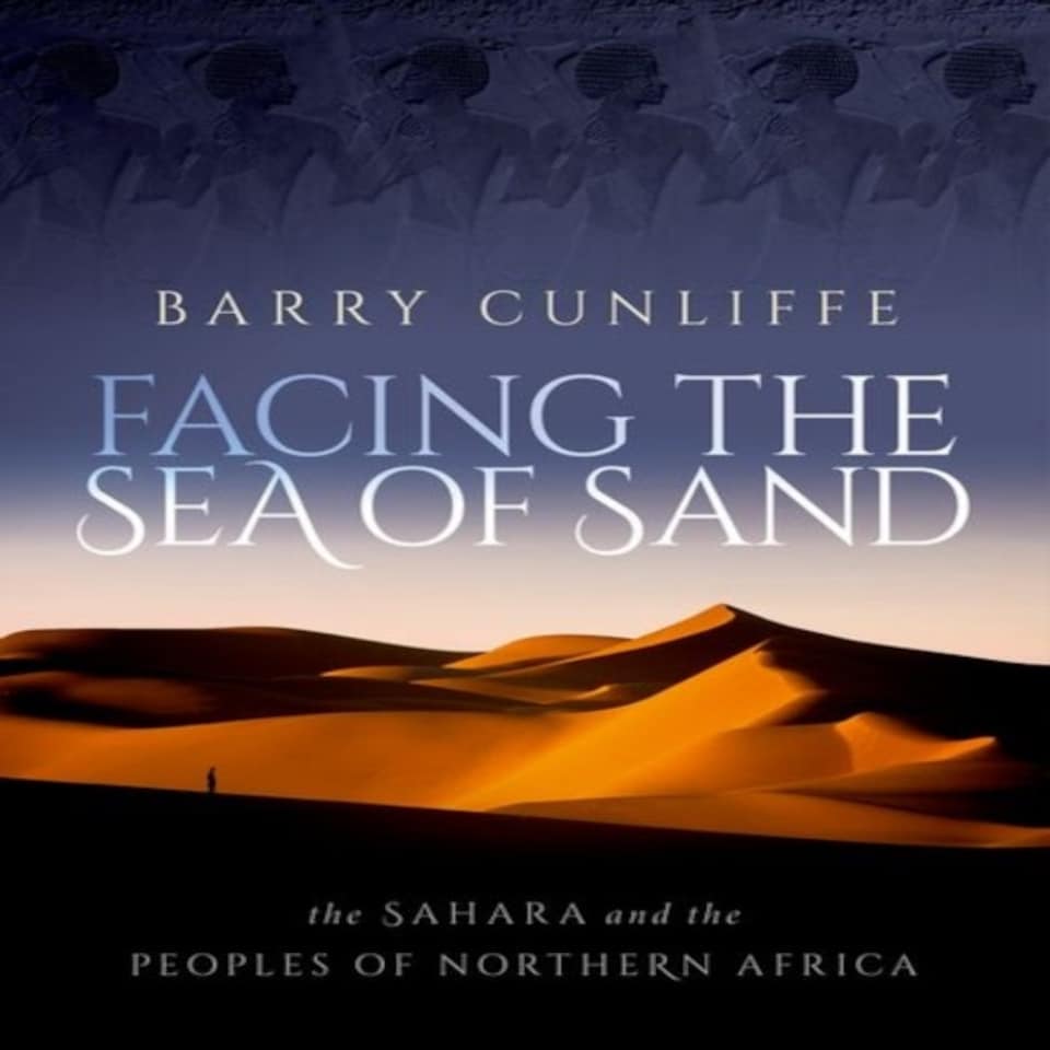 Facing The Sea Of Sand