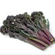 image 3 of Broccoli Tyrian F1 Hybrid - Sweet Purple Stems Quick Growing High Flavour Calabrese Vegetable 1x Seed Packet