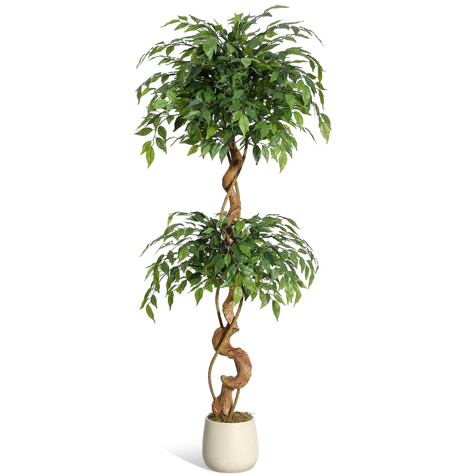 image 1 of London Boutique 180cm 6FT Artificial Ficus Tree Lifelike Faux Ficus Benjamina Plant Twisted Stem Weeping Fig
