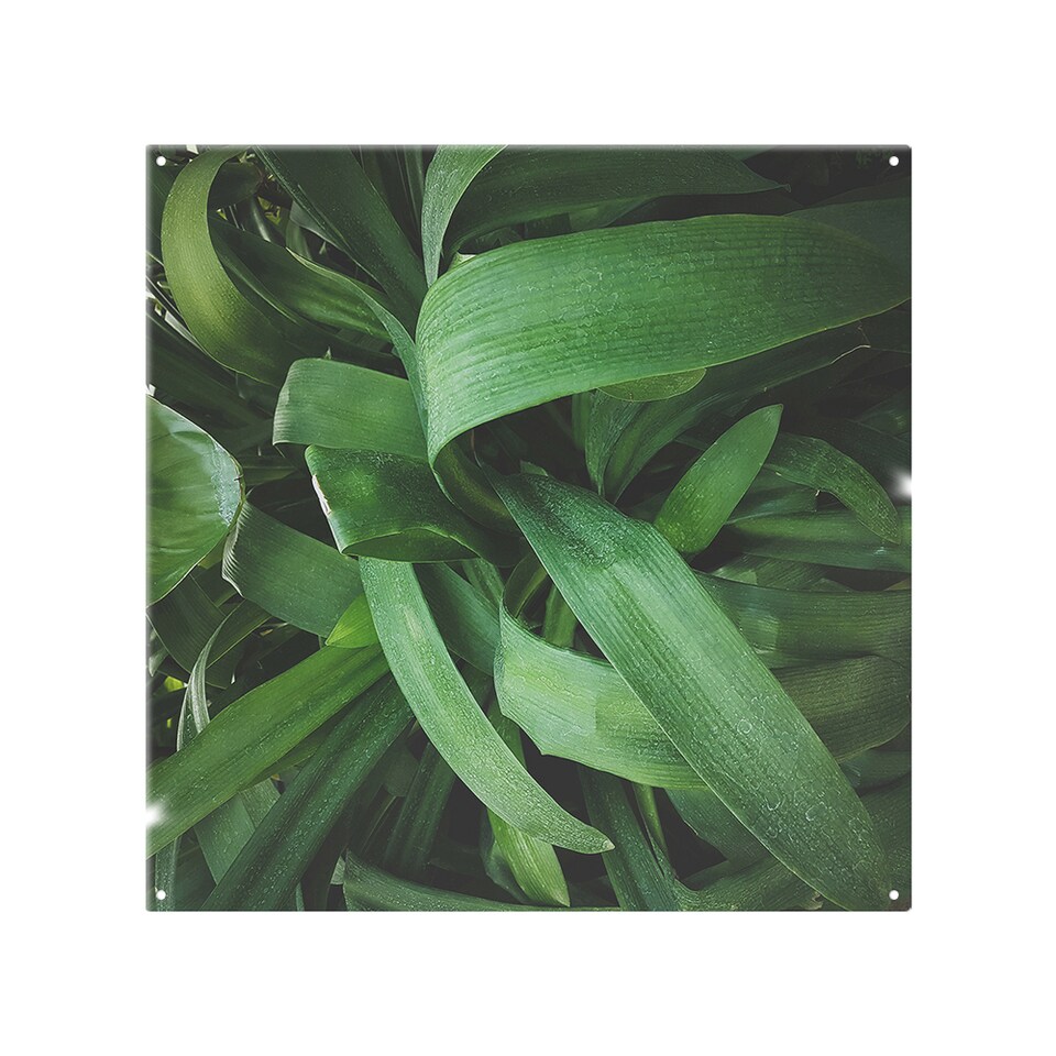 image 1 of Atmospheric background, Selective focus Designer Splash Back | White
