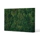 image 1 of Natural green moss (Canvas Print) 127 x 101 x 4cm