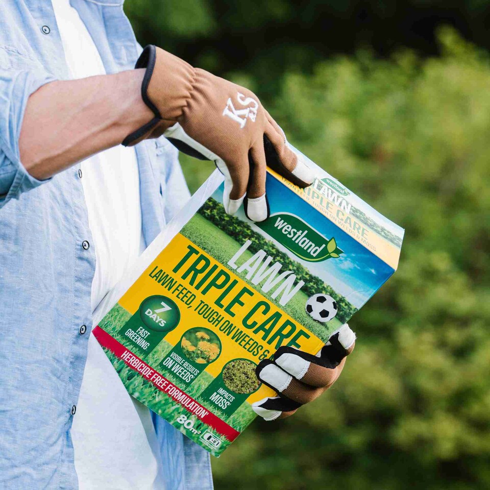 image 1 of Aftercut Westland Triple Care Lawn Feed  Rapid Greening, Moss & Weed Control, Small Granules | Brown | 1 x 350sqm Bag