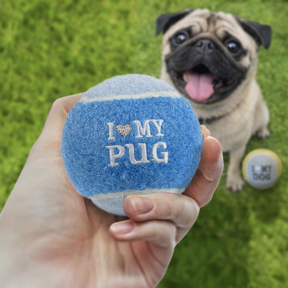 image 1 of Pre-Personalised Dog Balls Gift Pack 2pcs Blue I Love My Pug