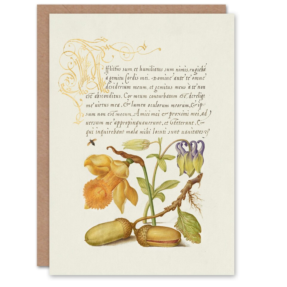 image 1 of Model Book of Calligraphy Art Card Daffodil Flower and Oak Acorns