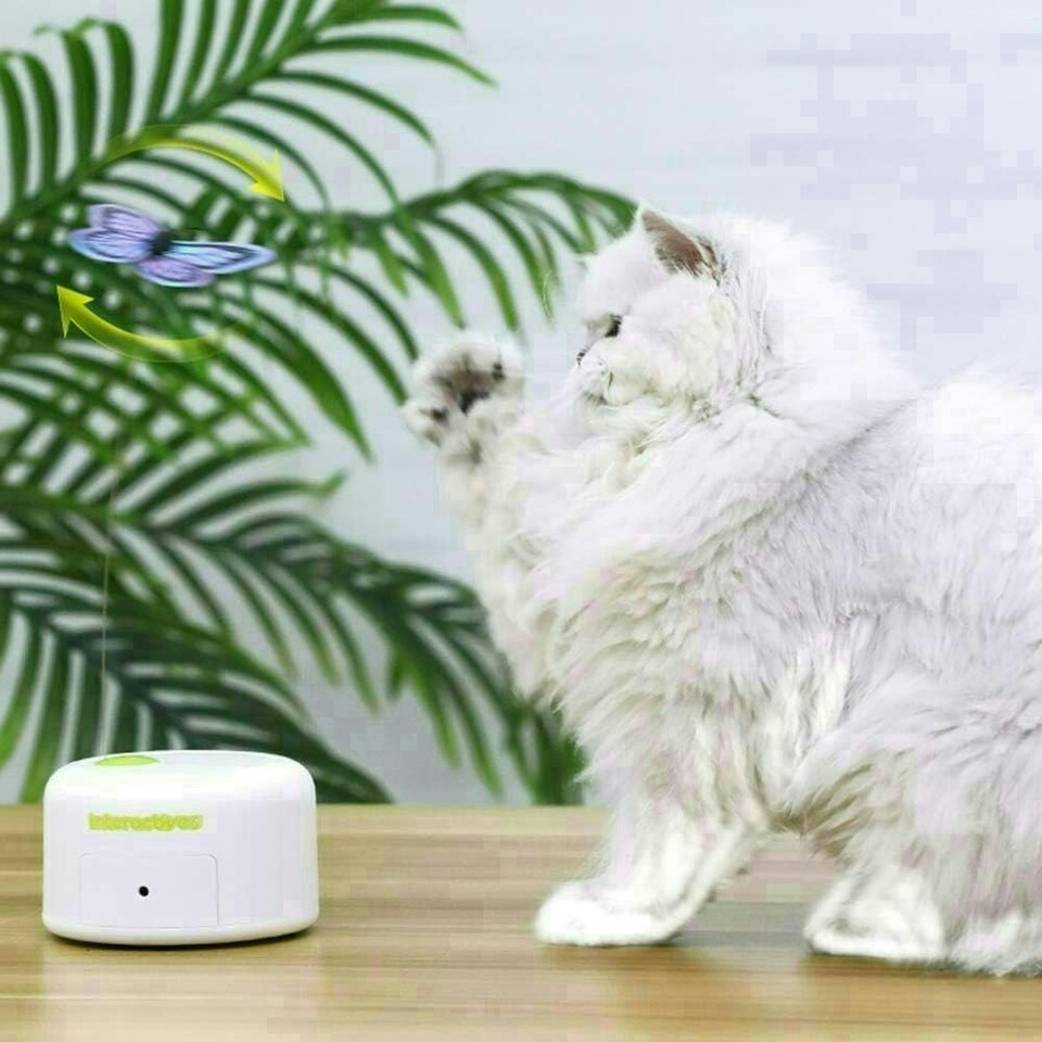 image 1 of All For Paws 6 Pack Interactive Cat Butterfly Flutter Replacements