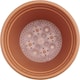 image 3 of Clever Pots Plant Pot Reservoir Reduces Water Waste 40Cm