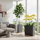 image 3 of 58cm Urbi Case Tall Rectangular Planter | Black | Black & Set of 3 | 3