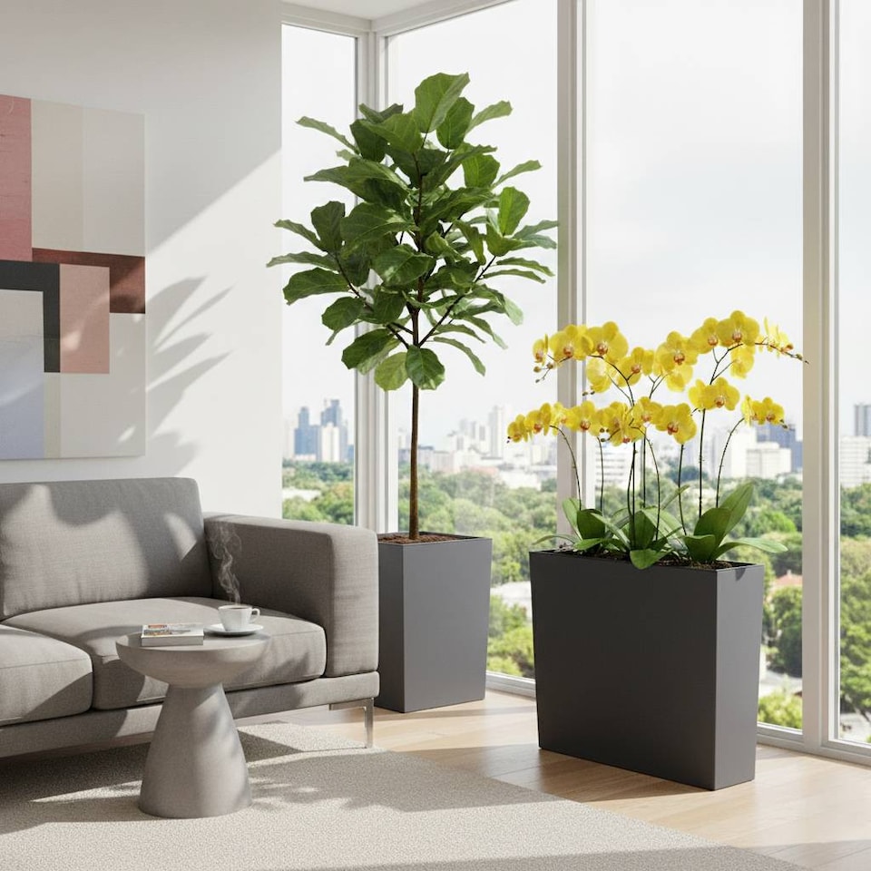 image 1 of 58cm Urbi Case Tall Rectangular Planter | Black | Black & Set of 3 | 3