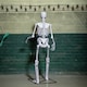image 4 of 5ft (1.5m) Full Body Halloween Standing Skeleton with Posable Joints & Red LED Eyes