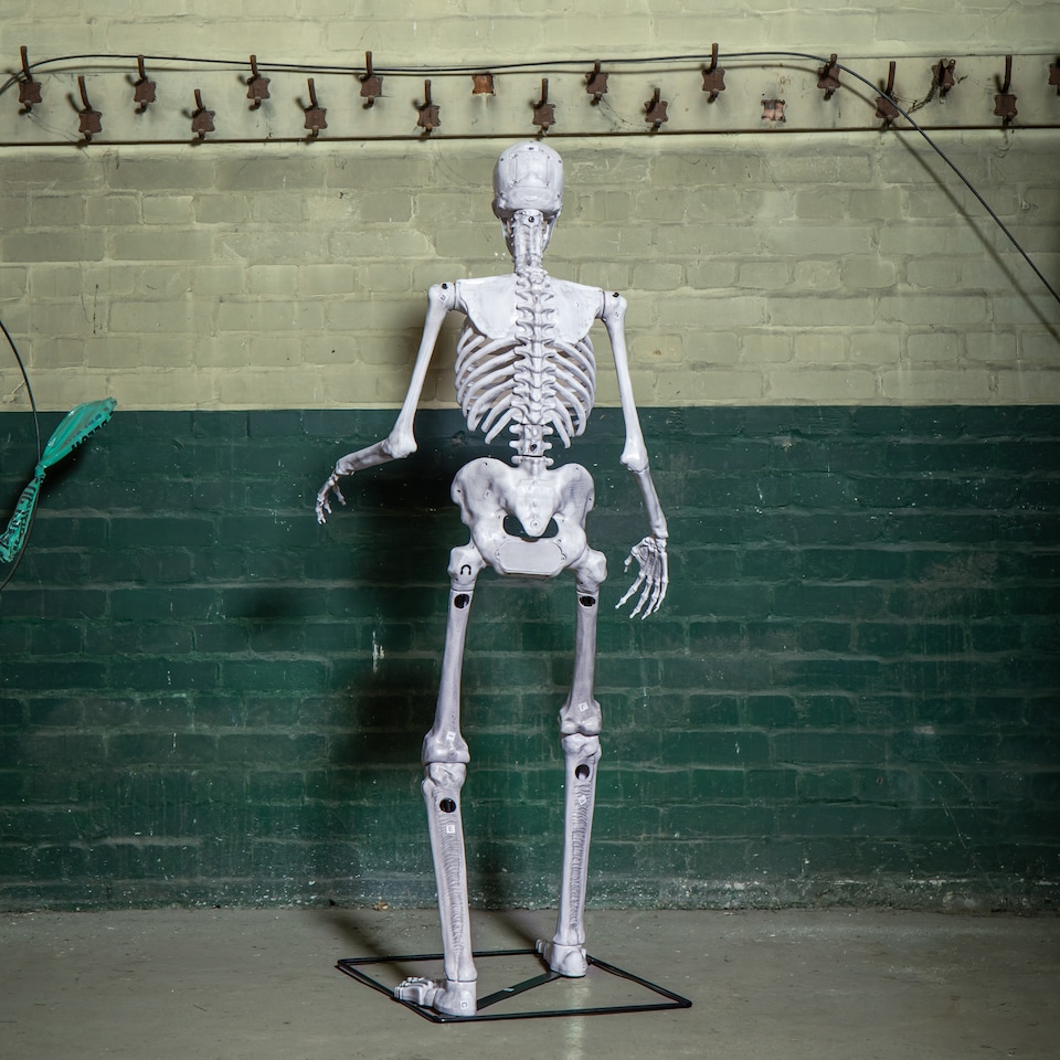 image 1 of 5ft (1.5m) Full Body Halloween Standing Skeleton with Posable Joints & Red LED Eyes