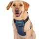 image 4 of Company Of Animals Carsafe Crash Tested Dog Harness - Black - M