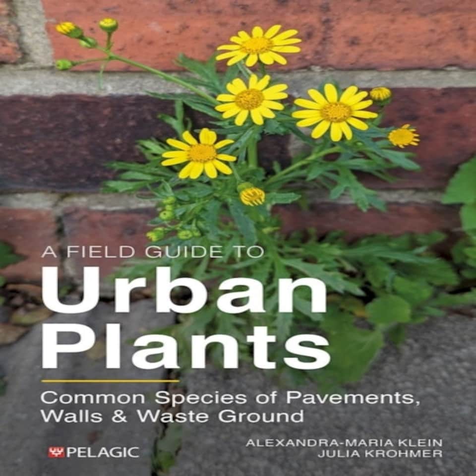 A Field Guide To Urban Plants