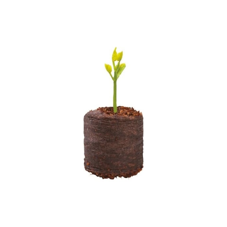 image 1 of Garland Coir Growing Pellets Sustainable Peat Free Value Piece Pack of 20